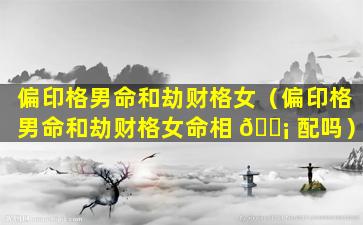 偏印格男命和劫财格女（偏印格男命和劫财格女命相 🐡 配吗）